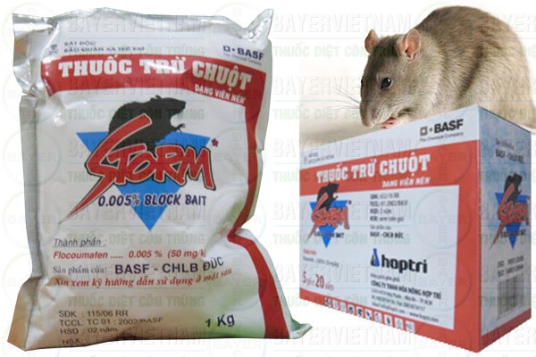 Một số loại thuốc diệt chuột hiệu quả và tiện lợi khi sử dụng